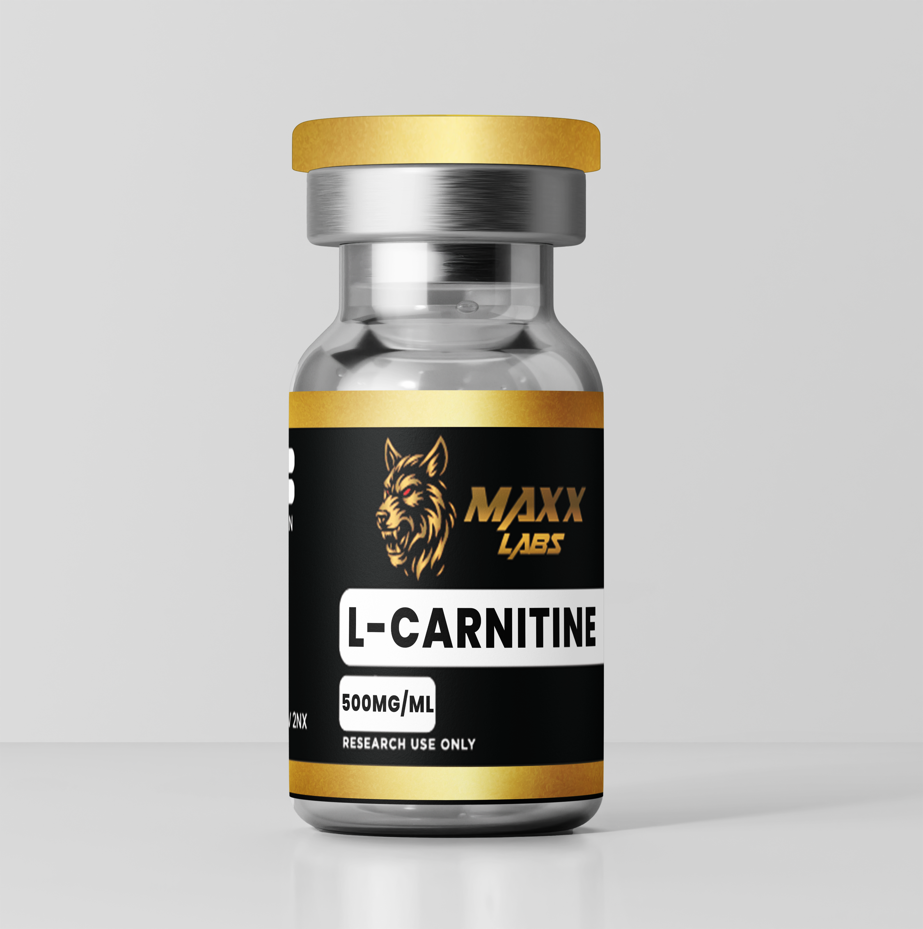 L-CARNITINE 500MG/ML